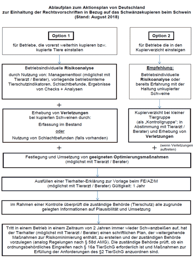 Ablaufplan zum Aktionsplan von Deutschland zur Einhaltung der Rechtsvorschriften in Bezug auf das Schwänzekupieren beim Schwein (Stand: August 2018)